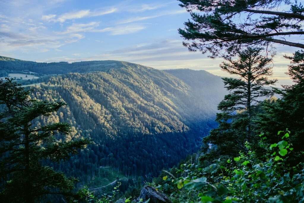 A scenic view of a mountain with trees and mountains in the background